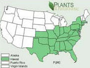 Kudzu Distribution Map