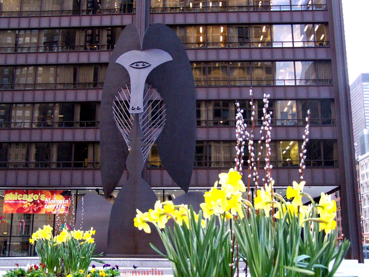 Chicago's Picasso Sculpture